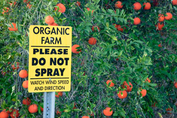 insecticidas orgánicos
